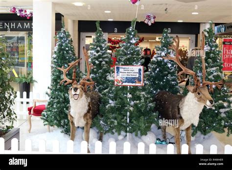 Christmas Market, Chester UK Stock Photo - Alamy