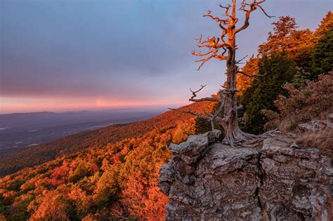 Special Places - Your Arkansas State Parks | Arkansas Outside