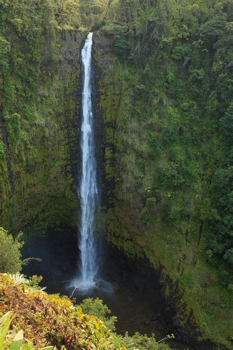 Akaka Falls | Smithsonian Photo Contest | Smithsonian Magazine