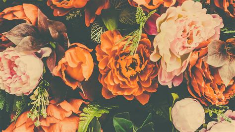 Wallpaper Orange And Pink Peonies, Artificial Flower - Wallpaper ...