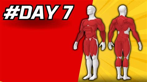 #DAY 7/28 day full body workouts challenge - YouTube