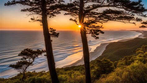 North Carolina State Parks: From Blue Ridge to Outer Banks - Verdant ...