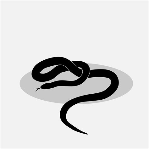 Snake vector png 30914049 Vector Art at Vecteezy