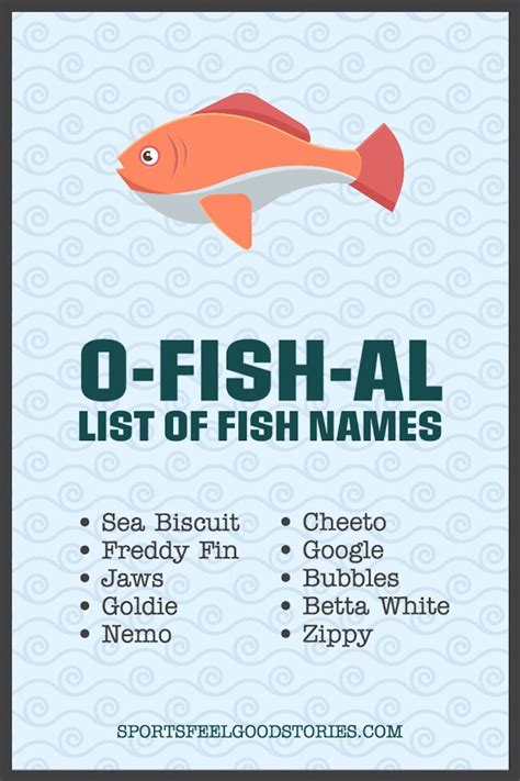 217 Fish Names For When You Are Fishing Around For Ideas | Goldfish names, Pet fish, Cute fish