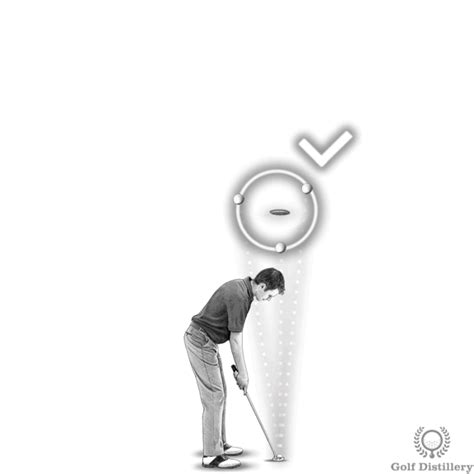 Putting Distance Control – Hit Better Putts - Free Online Golf Tips