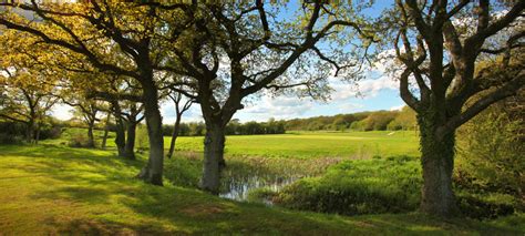 Mid Sussex Golf Club :: Mid Sussex Golf Club