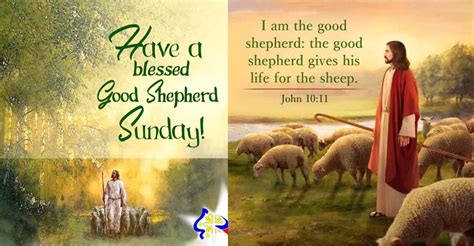 A Happy & Blessed Good Shepherd Sunday! #GoodShepherdSunday # ...