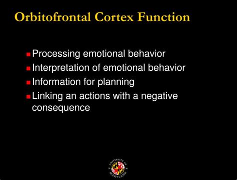 PPT - The Neurobiology of Addiction PowerPoint Presentation - ID:695340