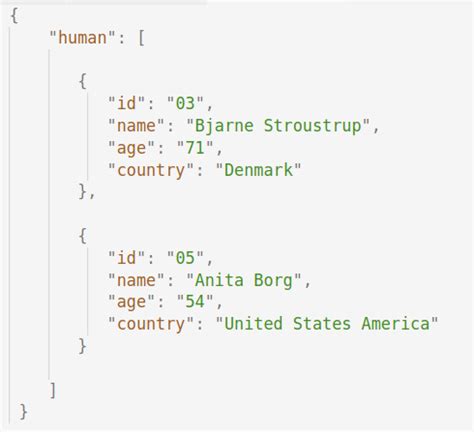 Guide To JSON Schema - HailBytes