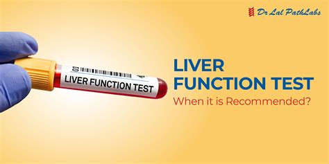 Liver Function Tests: Purpose, Procedure, and Results - Dr Lal PathLabs ...