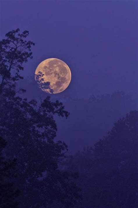 Blue Moon Rising Art Print by Rob Travis | Blue moon rising, Moon ...