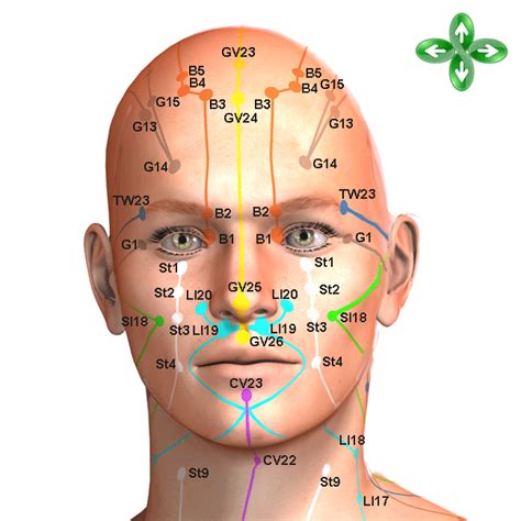 acu point maps for head, body, legs | Акупрессура, Биологически ...