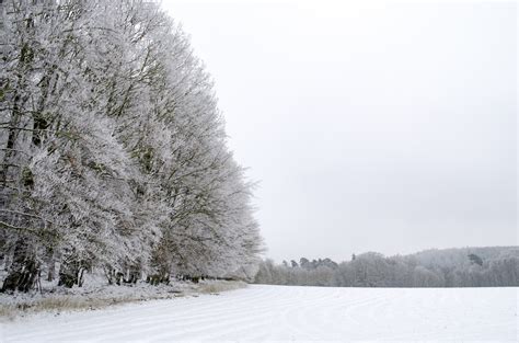 Winter Seasons Free Stock Photo - Public Domain Pictures