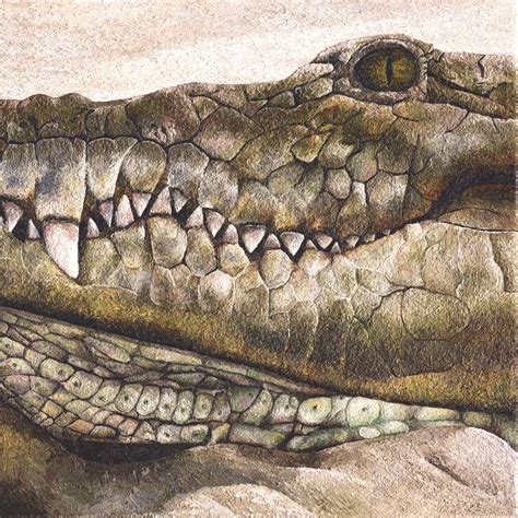 Crocodile Painting by Russell Hinckley | Saatchi Art