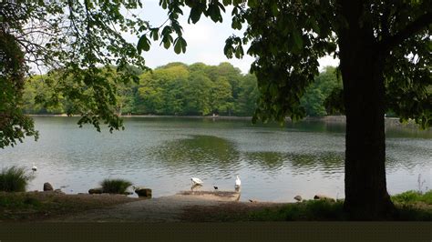 Roundhay Park - Visit Leeds