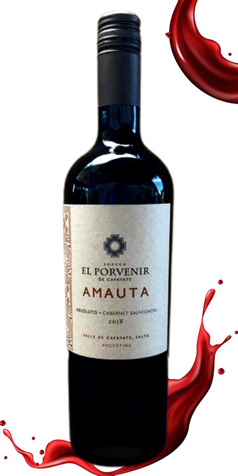 El Porvenir ‘Amauta’ Valle de Cafayate Cabernet Sauvignon – Vintage ...