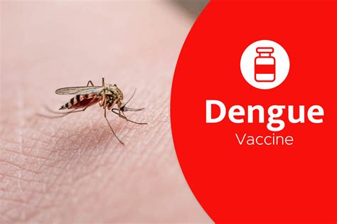 The Dengue Vaccine - TravelSafe Immunization Clinic