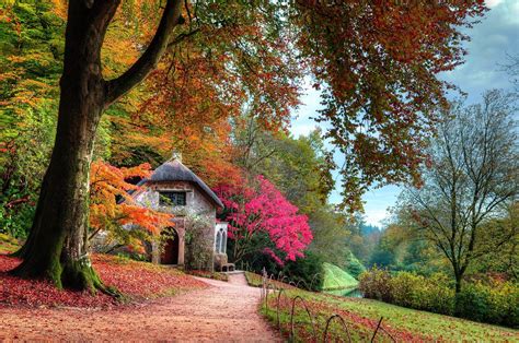 fall, Garden, Cottage, Leaves, Trees, Lawns, Shrubs, Pink, Green ...