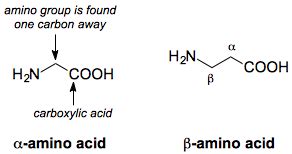 [Resuelta] bioquímica | ¿Por qué los alfa-aminoácidos