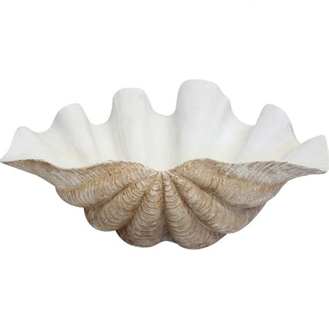 XX-Large Natural Clam Shell Decor 66cm | Shop Online | Free Delivery