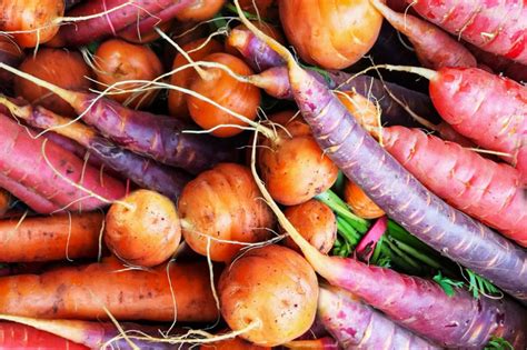 10 Root Vegetables You Can Successfully Grow