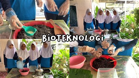 Bioteknologi pembuatan Tape Ketan Hitam [Aspergillus wentii] - YouTube