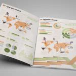 Infographics Archives - PSD Templates