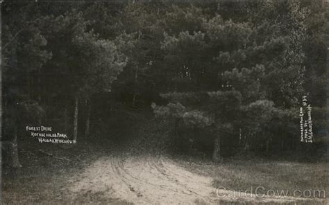 Forest Drive, Rothschilds Park Wausau, WI Postcard