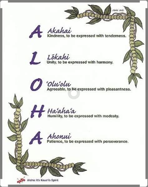 The True Meaning of Aloha - We the Well Beings