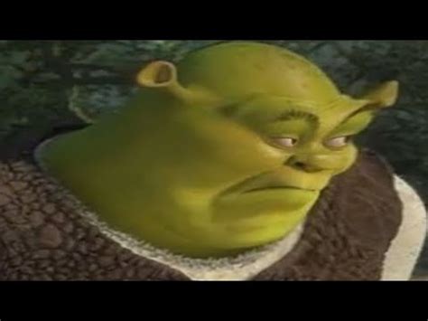 Donkey Shrek Memes Clean Meme memes 8moyl0gq6 ifunny