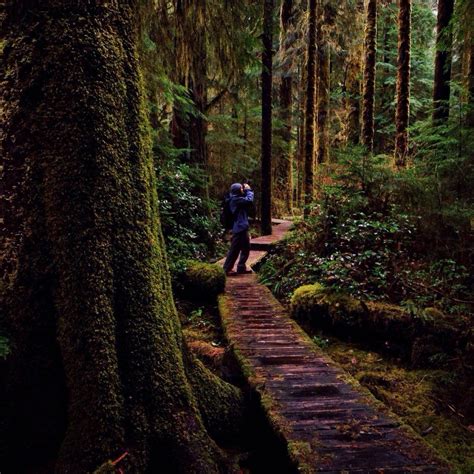 7 Hidden Hikes on Vancouver Island with @tomparkr - Explore BC | Super, Natural BC