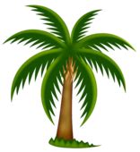 Palm tree clipart tropical - WikiClipArt