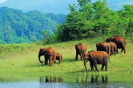 Top 10 Famous Wildlife Sanctuaries in India to Visit - World Blaze