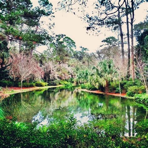 Summary of Tallahassee : Things To Do & Attractions | Visions of Travel