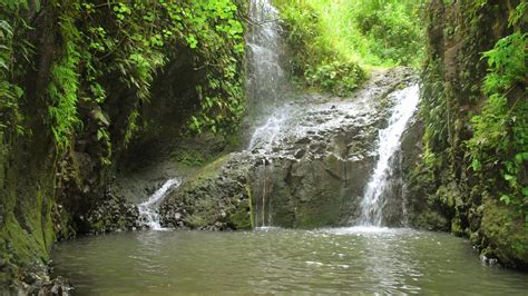 Oahu Waterfalls Hiking: Your Guide to Hawaii's Wonders - Real Hawaii Tours