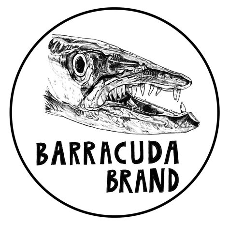 Barracuda Runaround - Colorblock — Barracuda Brand