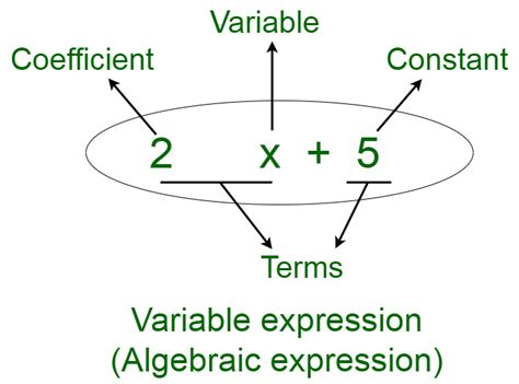 ¿Cómo identificar una expresión algebraica? – Barcelona Geeks