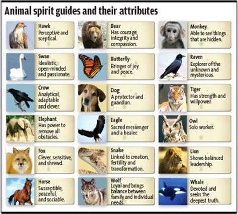 Understanding the Role of Animal Spirit Guides on your Path