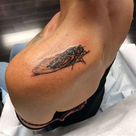 Top 71 Best Cicada Tattoo Ideas - [2021 Inspiration Guide]