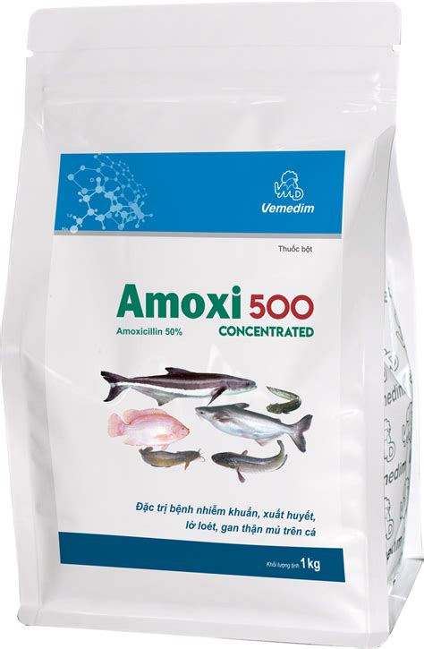 Product Amoxi 500 concentrated