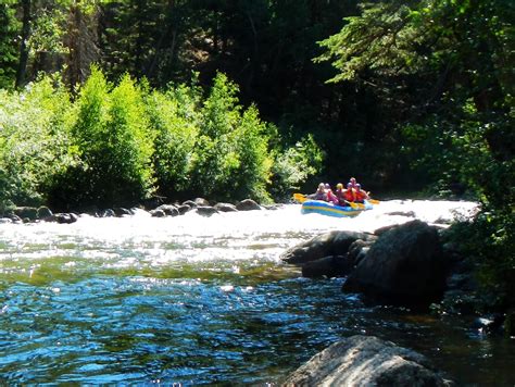 Taylor River – near Almont, CO | Gunnison National Forest