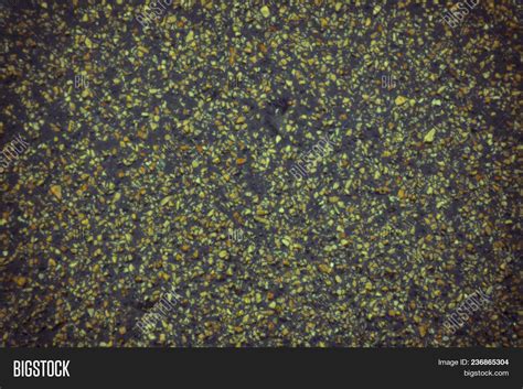 Texture Black Rubber Image & Photo (Free Trial) | Bigstock