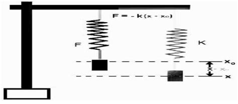 Spring Force Formula