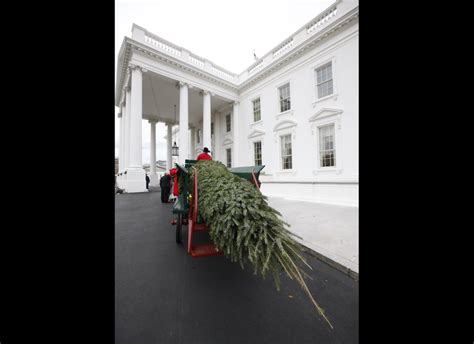 White House Christmas Tree | Christmas Stuff