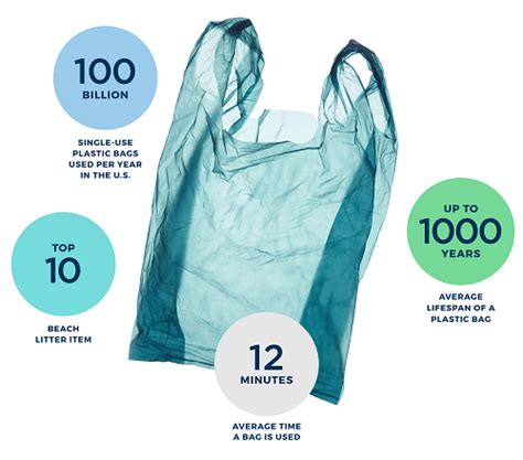 Beyond the Bag Challenge: Reinventing the single-use plastic retail bag - SEE Change Magazine