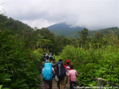 Mount Gede Pangrango National Park