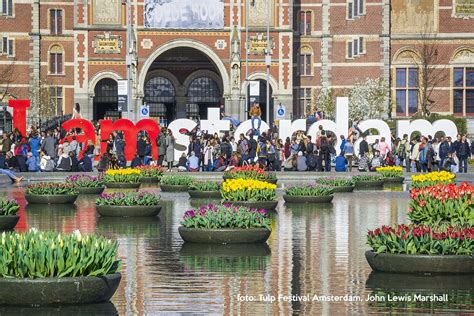 Tulp Festival 2019 - Tulip Festival Amsterdam | Tulip festival ...