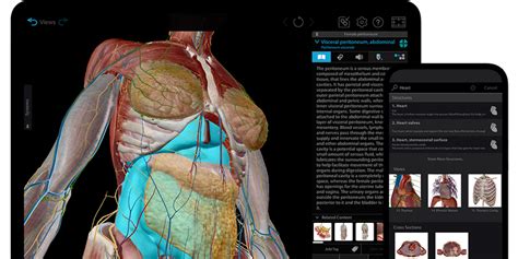 Today's Android game and app deals: Human Anatomy Atlas, more