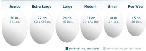 How Large Is a Large Egg? | Eggs, Large egg, Measuring ingredients