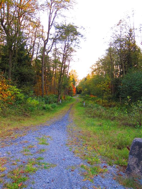 Burnaby Mountain trails | Mountain trails, Country roads, British columbia